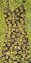%_tempFileNamee52b-p%